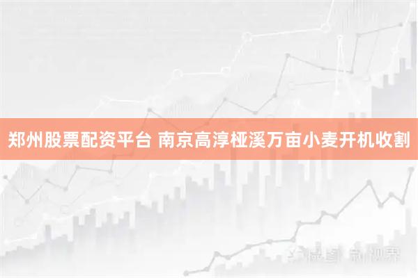郑州股票配资平台 南京高淳桠溪万亩小麦开机收割
